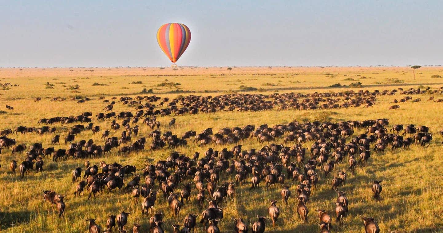 Hot-air Balloon Safari Kenya