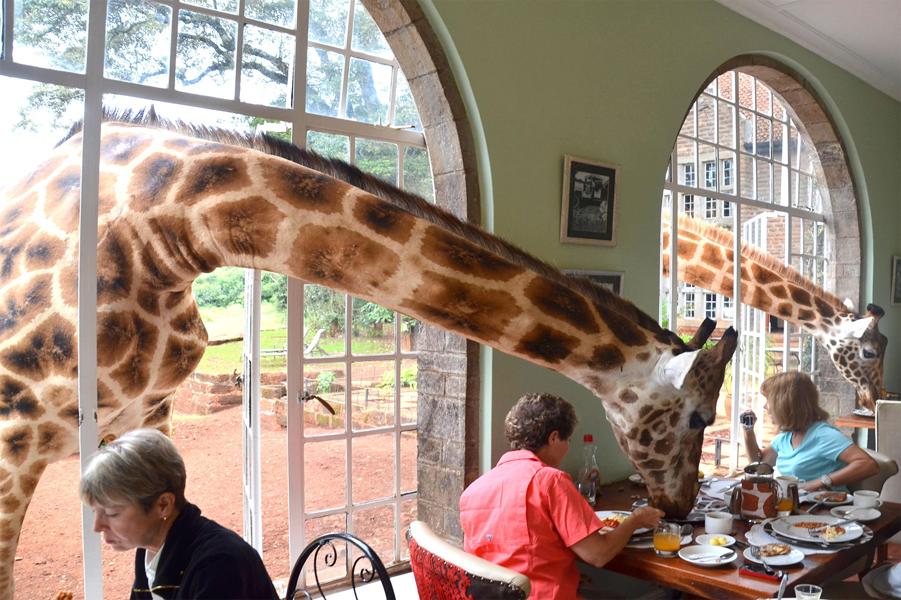 Giraffe Center Manor