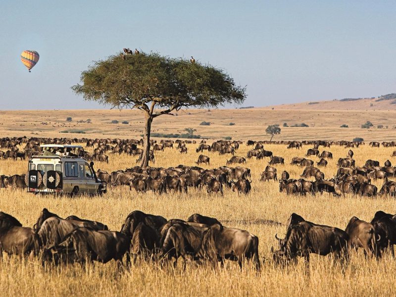Maasai Mara Safari Kenya
